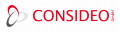 Logo CONSIDEO PROCESS MODELER